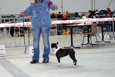 des Hauts coureurs - NIORT 2007