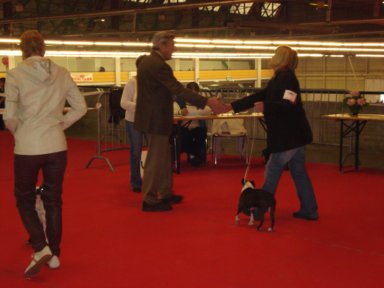 des Hauts coureurs - cacib st etienne