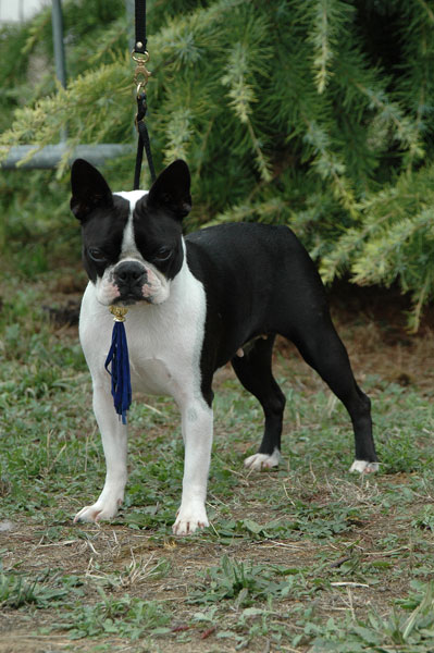 CH. Volte face des Hauts coureurs