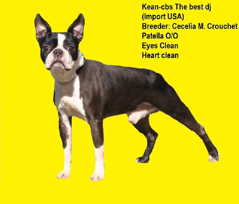 kean-cbs The best dj