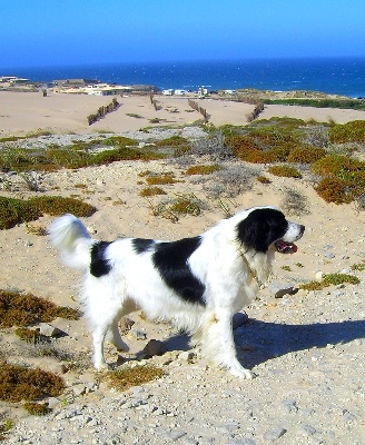 PORTUGAL 2009